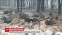 У Португалії вирують жахливі лісові пожежі, є загиблі
