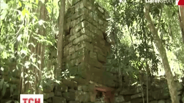 У джунглях Аргентини археологи знайшли скарб німецьких нацистів