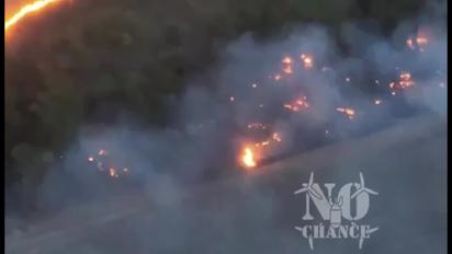 Українські бійці за допомогою FPV-дрона випалюють окупантів із лісосмуги
