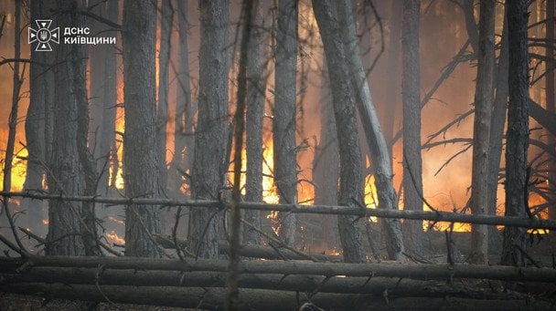 Пожар под Киевом.