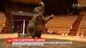 В Харькове слониха пыталась сломать забор детского сада, за которым гуляли дети