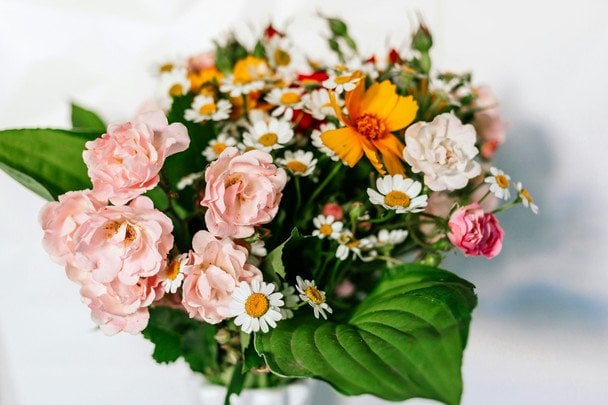 День ангела 27 червня — душевні привітання в прозі / © unsplash.com