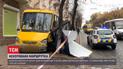 В Кропивницком маршрутка вылетела на тротуар, снесла рекламный щит и едва на сломала дерево