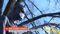 В Днепре надели маски на огромные скульптуры, чтобы поощрить горожан носить средства защиты