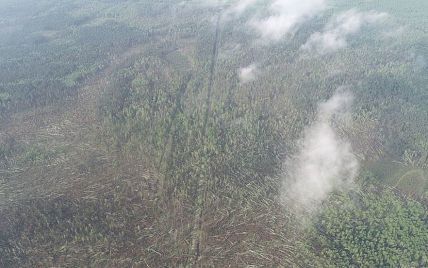 На Житомирщине мощный ураган за считанные минуты повалил 100 га леса