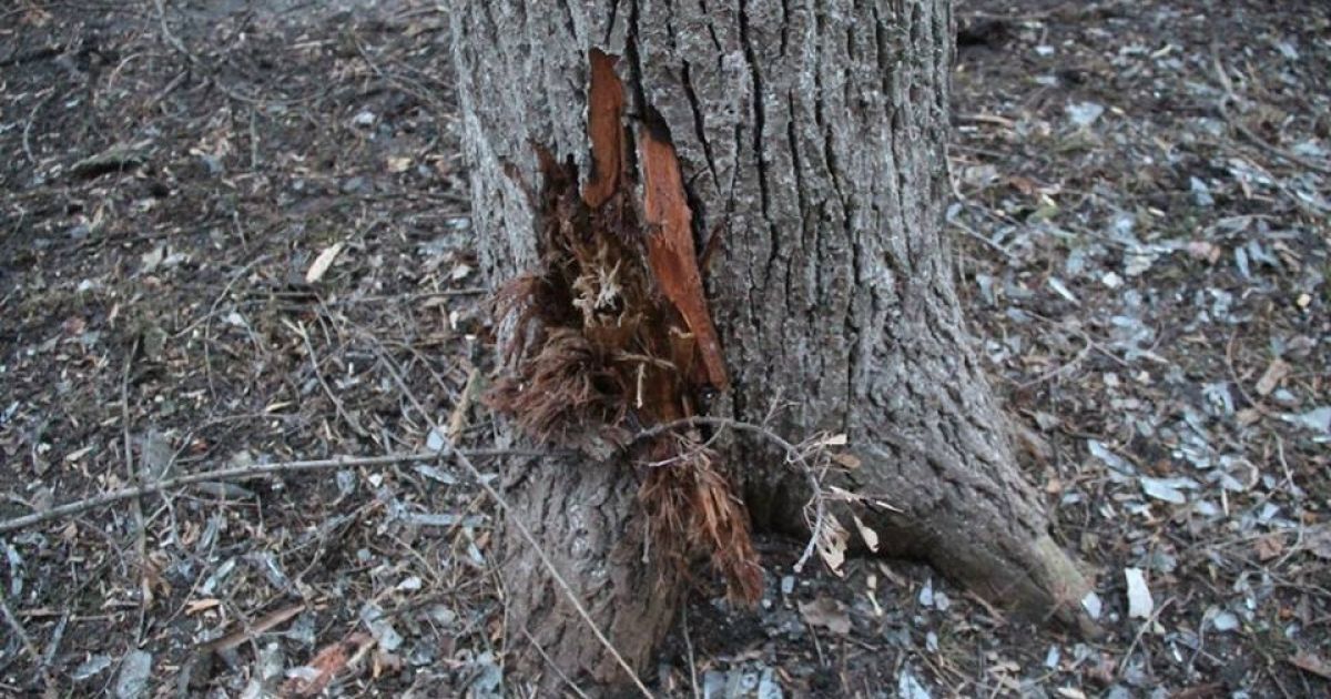 Последствия обстрелов Авдеевки / © Facebook/пресс-центр штаба АТО