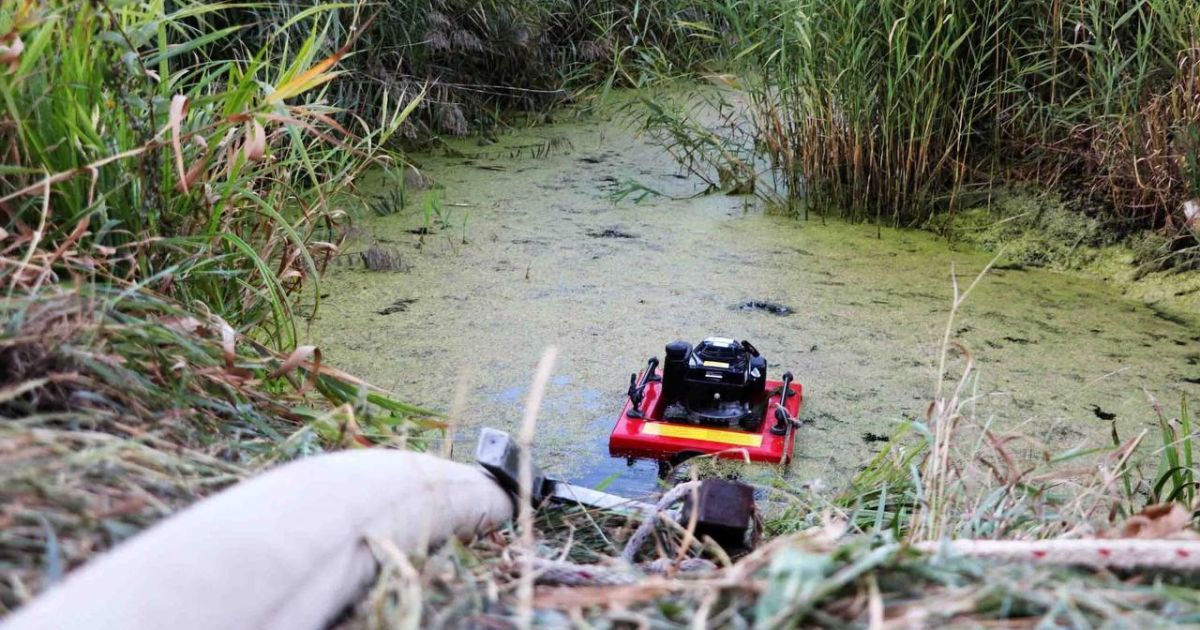 Під Києвом рятувальники гасять чотири осередки загоряння торфу