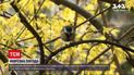 Новини України: синоптики прогнозують заморозки наприкінці квітня