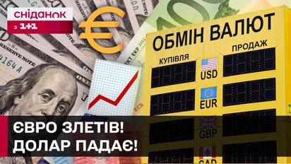 Евро достиг максимума! Что будет с курсом валют в Украине?