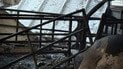 В Сумской области россияне атаковали ферму