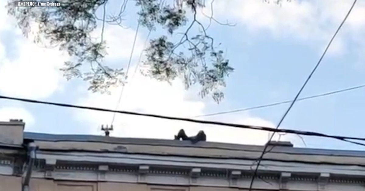 В Одесі неадекватний чоловік заліз на дах будинку і зірвався: очевидці благали його не стрибати (відео)