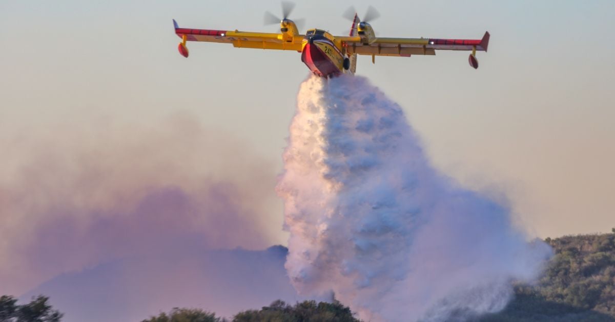 Канадский пожарный самолет Super Scooper. Фото: Facebook/Greg Doyle, Los Angeles County Fire – Air Operations