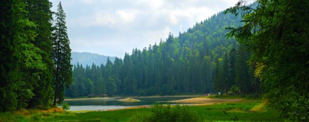  / © www.flickr.com/Anton Suprunenko