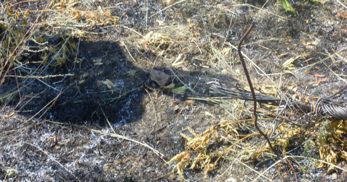 Специалисты магистральных электрических сетей занимаются ремонтом поврежденной высоковольтной линии электропередач