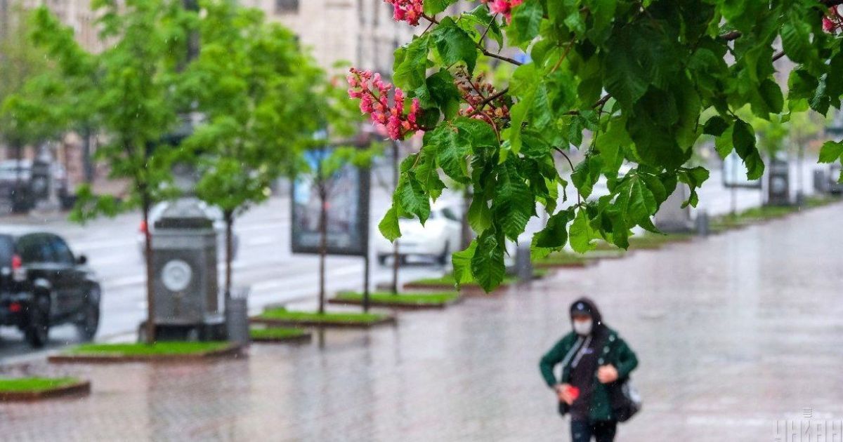 Теплая и дождливая неделя, местами с грозами: прогноз погоды на 14-20 июня