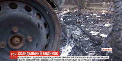 На Запоріжжі вночі підпалили будинок, де кілька років поспіль шкуродери знущались з тварин