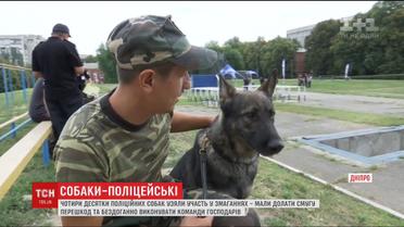 Змагання собак-поліцейських відбулися в Дніпрі