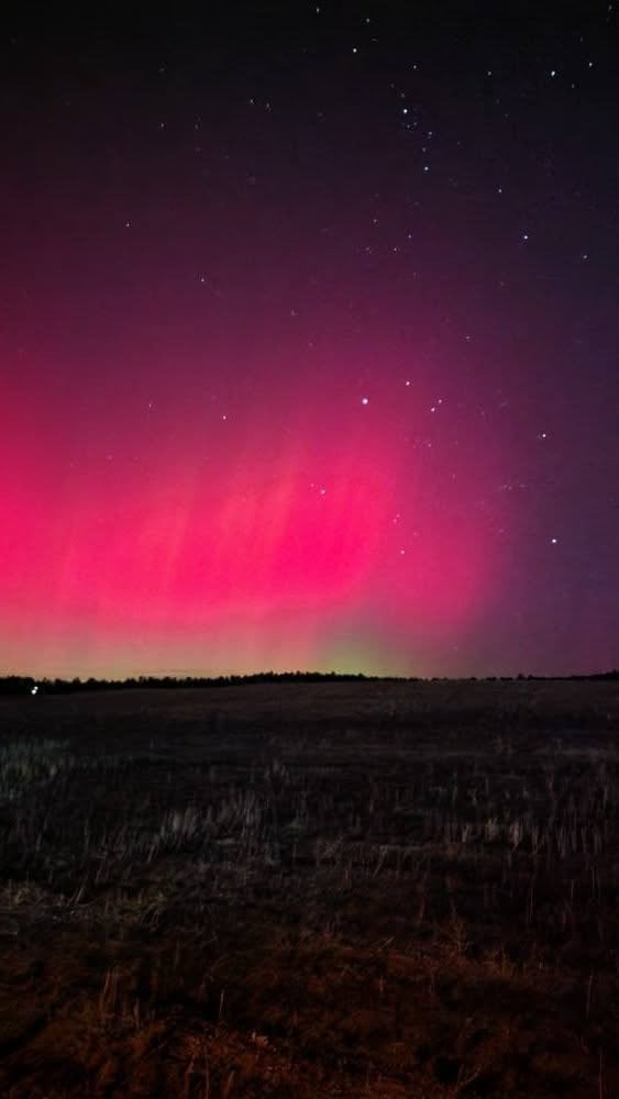 Північне сяйво над Колорадо. Фото: @ Elena Andrushchenko / © Facebook