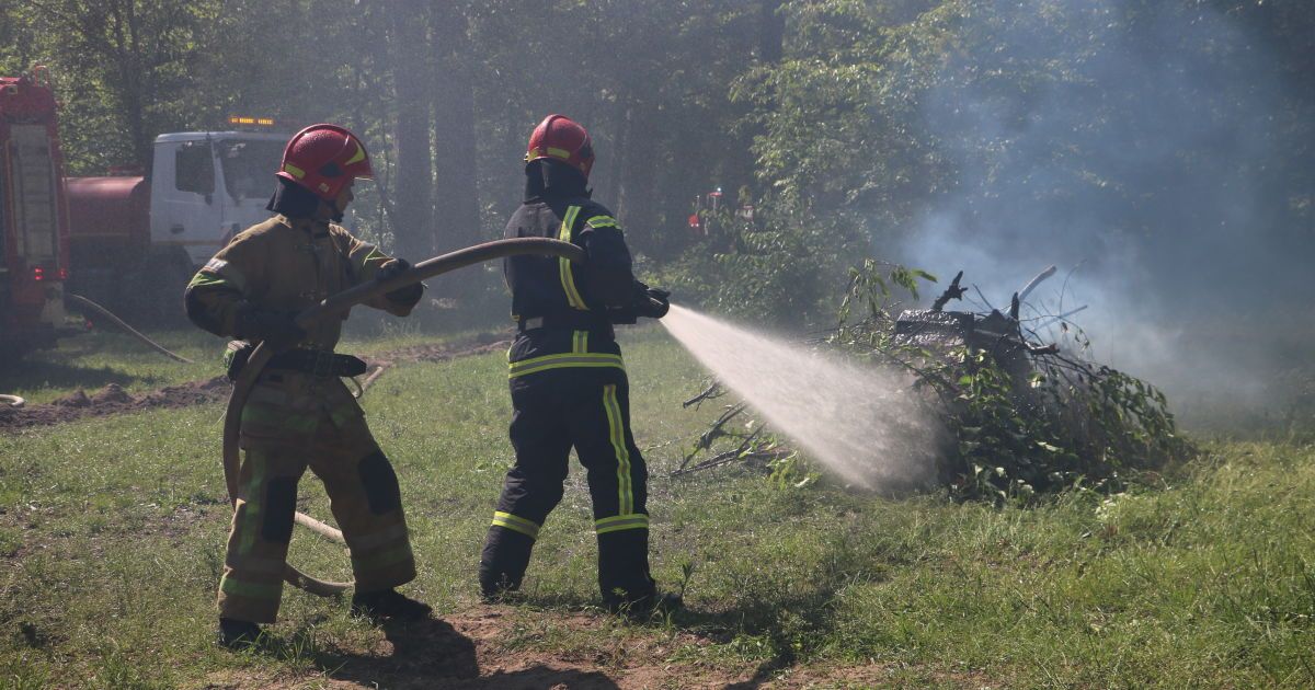 Навчання ДСНС з гасіння лісових пожеж Київ_4 / © Управління ДСНС Києва