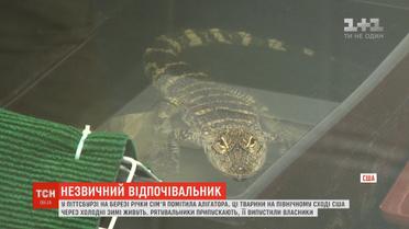 У Піттсбурзі на березі річки американська сім'я випадково помітила алігатора