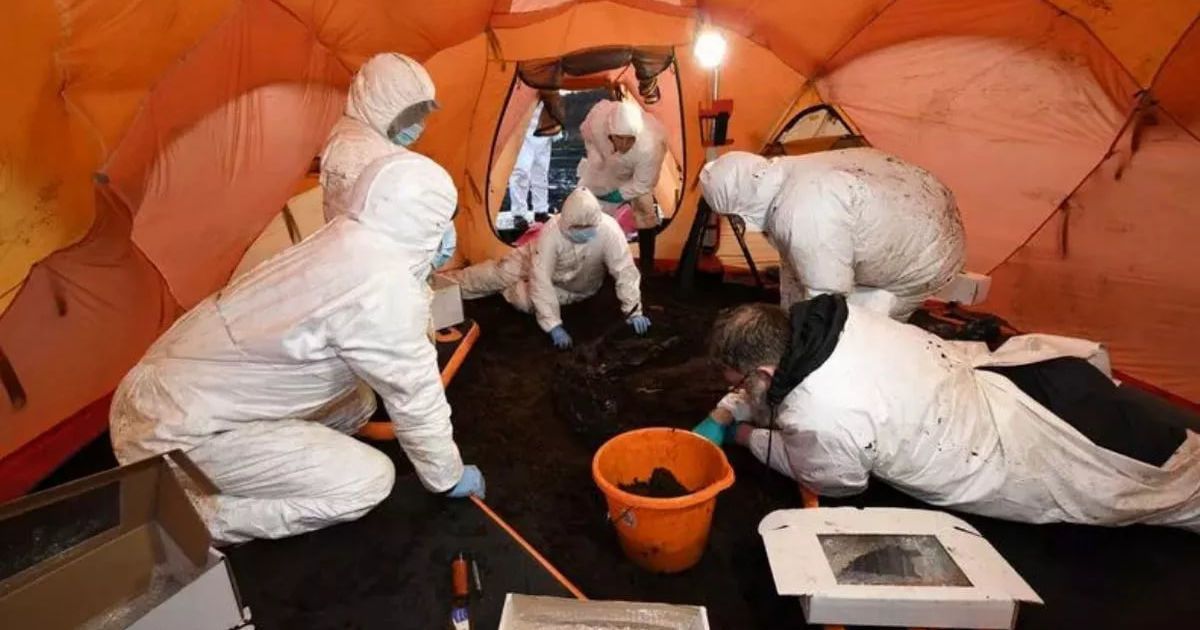 Розкопки тіла "жінки з Баллімакомбс Мор". Фото: поліція Північної Ірландії