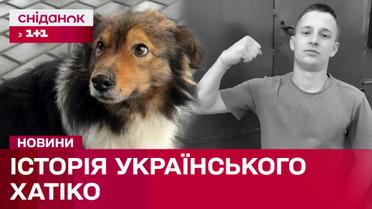 Ждет два года хозяина, который погиб на войне... История из Черкасской области, которая растрогает каждого