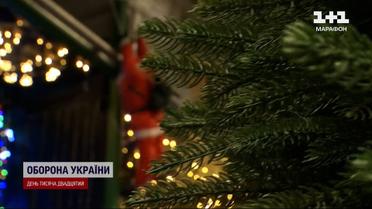 2000 за ялинку! Де купити святкове дерево і не сісти за ґрати?