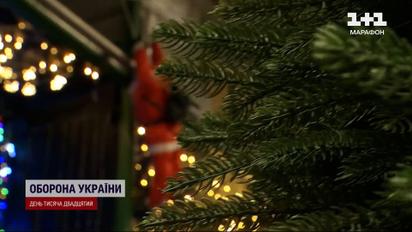 2000 за ялинку! Де купити святкове дерево і не сісти за ґрати?