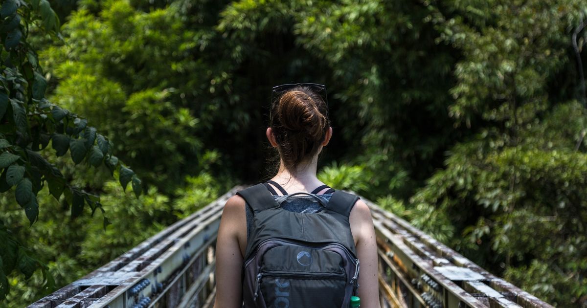 Зеленський підписав указ про заходи щодо підтримки культури