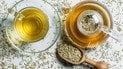 В чем польза чая с фенхелем
