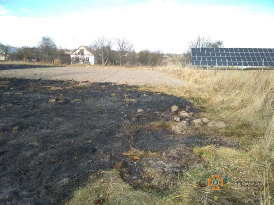 Біля Житомира заживо згорів чоловік, який сам же й підпалив бур'яни та сухостій