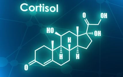 Гормон стресса - кортизол: за что отвечает и как влияет на организм