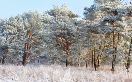 Гороскоп на 13 лютого для всіх знаків зодіаку: день, коли Всесвіт наводить лад у навколишній дійсності