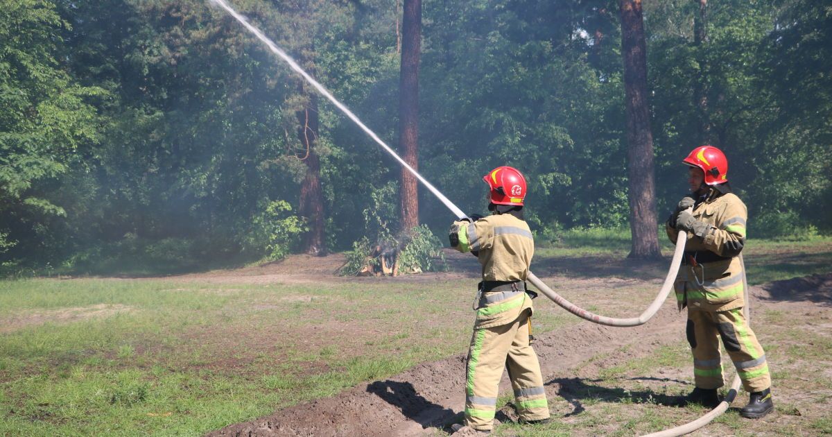 Навчання ДСНС з гасіння лісових пожеж Київ_5 / © Управління ДСНС Києва