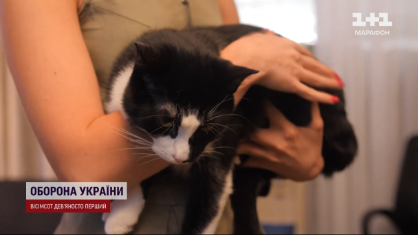 Кіт Гюнтер ІІ