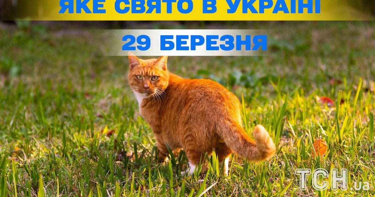 Яке свято 29 березня 2026 року