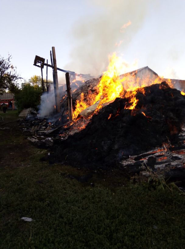  / © ГСЧС в Житомирской области