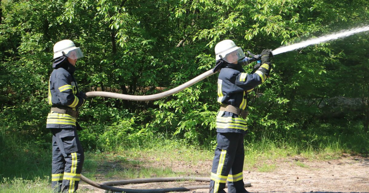 Навчання ДСНС з гасіння лісових пожеж Київ_7 / © Управління ДСНС Києва