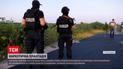 Новости Украины: в Херсонской области обнаружили огромную плантацию конопли
