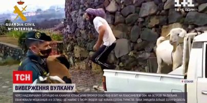 Новости мира: активность вулкана на Канарах помешала премьеру Испании посетить Генассамблею ООН