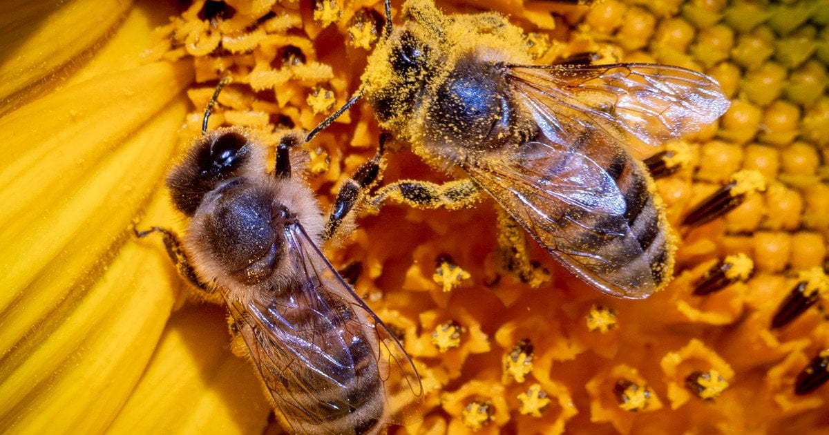 Гороскоп на 14 серпня