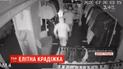 У Кривому Розі двоє чоловіків украли 14 норкових манто