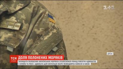 Защищать пленных украинских моряков согласились более полусотни адвокатов из Крыма и России