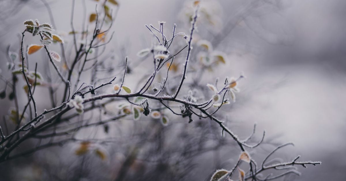 Синоптики обіцяють зміну погоди