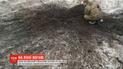 Бойовики застосували заборонену зброю поблизу Пісків та Оріхового
