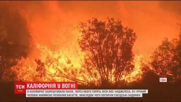 Масштабні пожежі у Каліфорнії: суд заарештував винного у підпалі