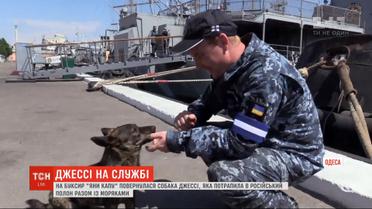 Собака-талисман моряков "Яны Капу" - снова на буксире
