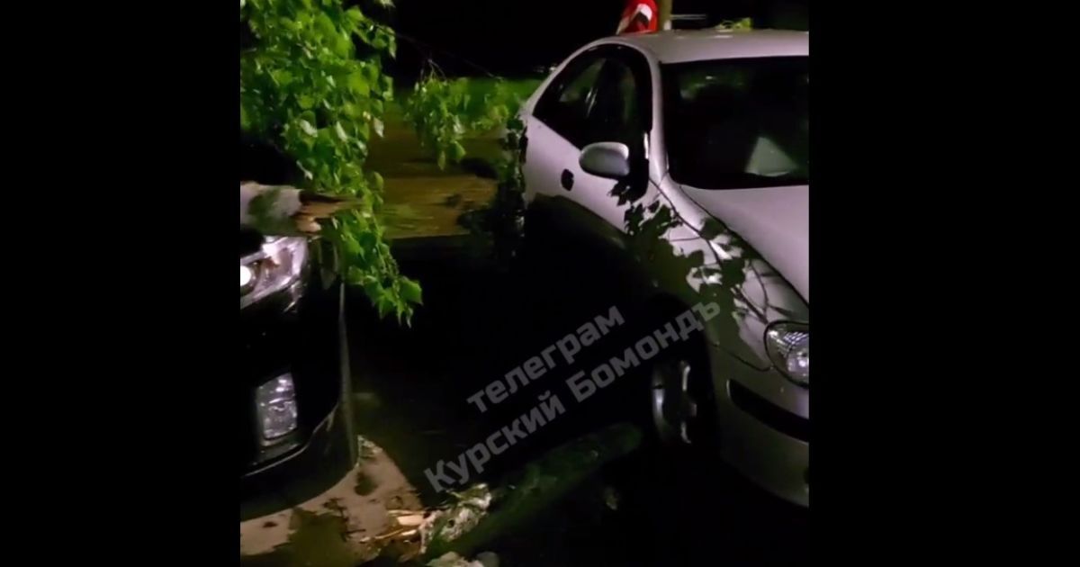 Ураган у Курську зривав дахи і викорчовував дерева: відео