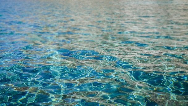 18 вересня День моніторингу якості питних ресурсів / © pexels.com