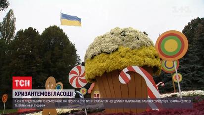 Цветочные вкусности: на Певческом поле из хризантем создали сладкие композиции